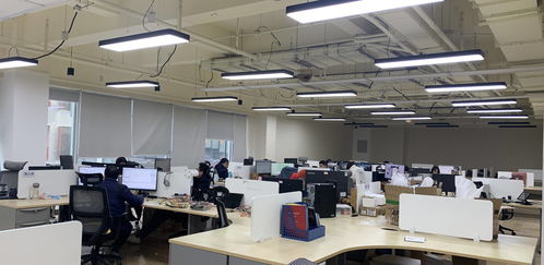 成都高新區(qū) 以“實(shí)”字為核心，助力小微信息技術(shù)咨詢服務(wù)企業(yè)蓬勃發(fā)展