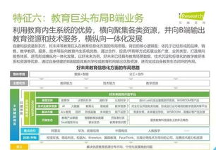 2019年中國教育信息化行業(yè)報(bào)告 信息技術(shù)咨詢服務(wù)分析